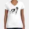 Women's Fine Jersey V-Neck Tee Thumbnail