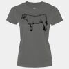 Ladies Performance Tee Thumbnail