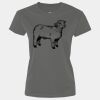 Ladies Performance Tee Thumbnail